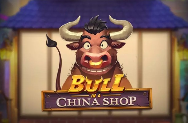 Bull in a China Shop