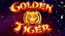 Golden Tiger