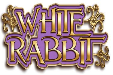 weißer Hase
